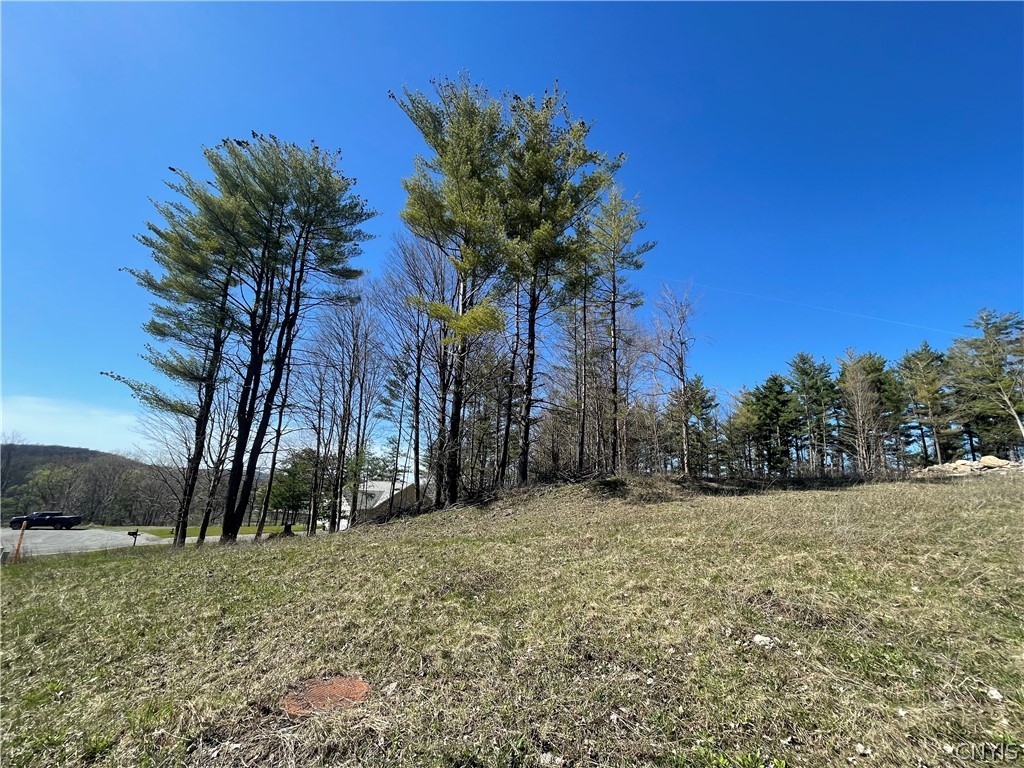 4644 Lot 8 Pauli Drive, Manlius, New York image 8