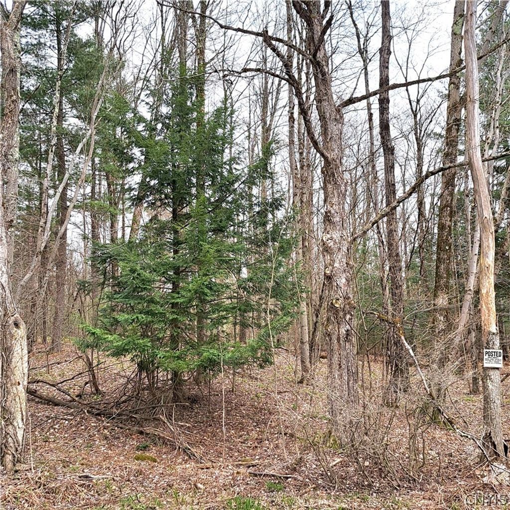 Photo of Steam Mill Road, Camden, NY 13316 (MLS # S1674522)