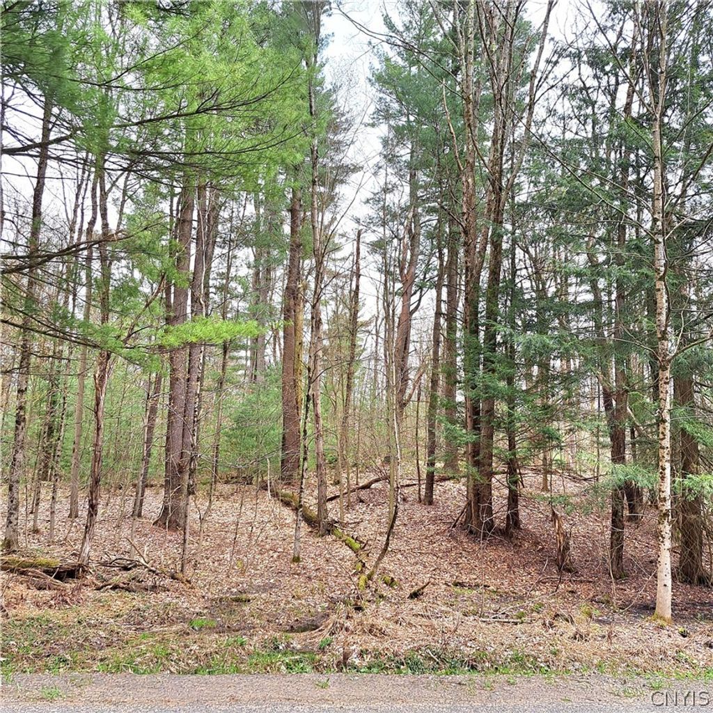 Photo of Steam Mill Road, Camden, NY 13316 (MLS # S1674522)