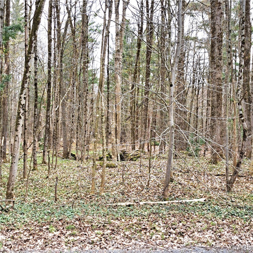 Steam Mill Road