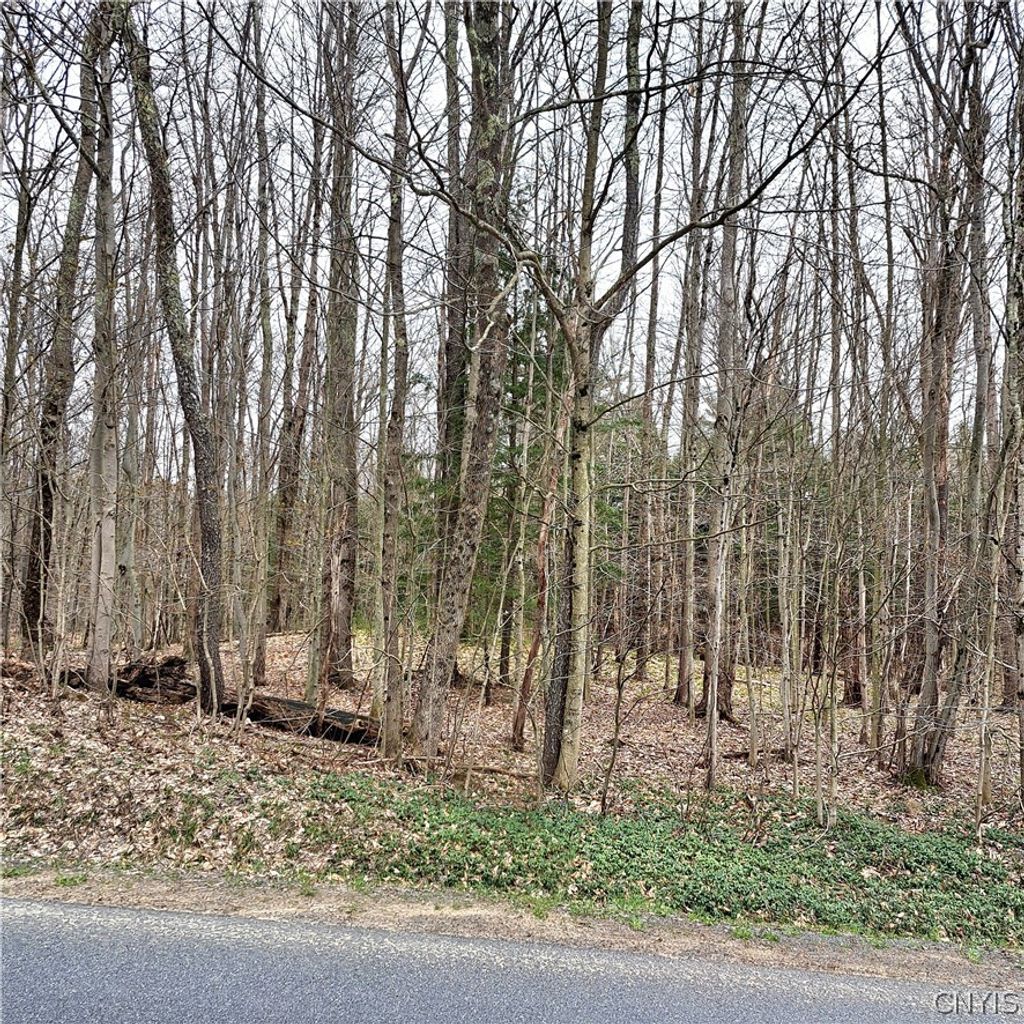 Photo of Steam Mill Road, Camden, NY 13316 (MLS # S1674522)