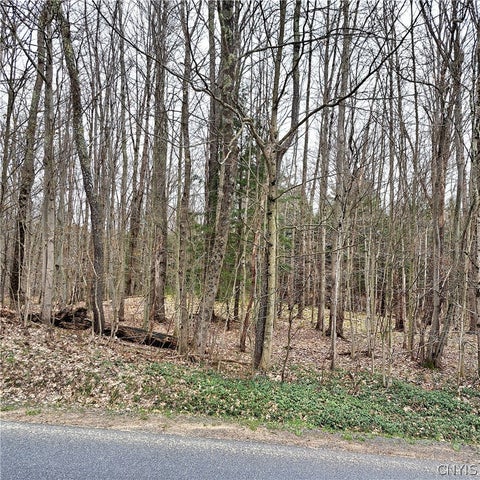 Vacant Land For Sale - Steam Mill Road<br/> Camden, NY 13316