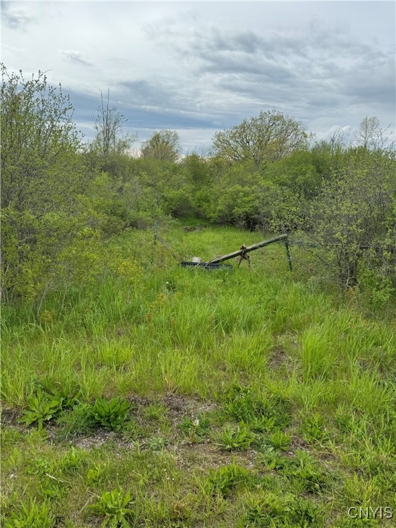 25985 Moffatt Road