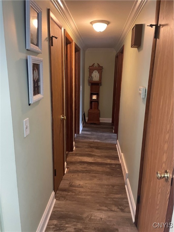 76 Windebank Lane, Manlius, New York image 13