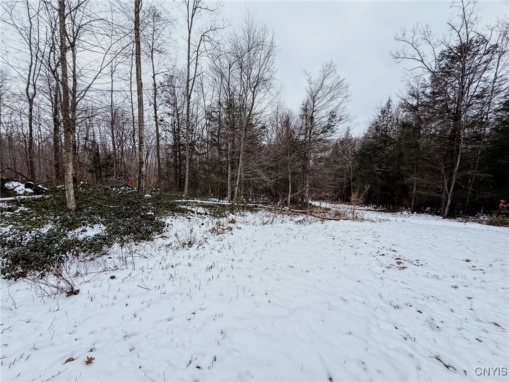 West Road, Corning, New York image 27