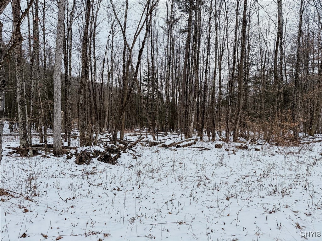 West Road, Corning, New York image 19