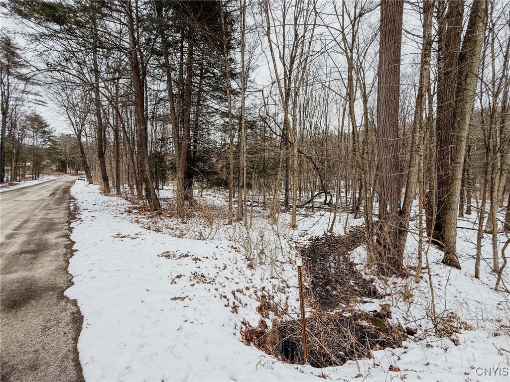West Road, Corning, New York image 30