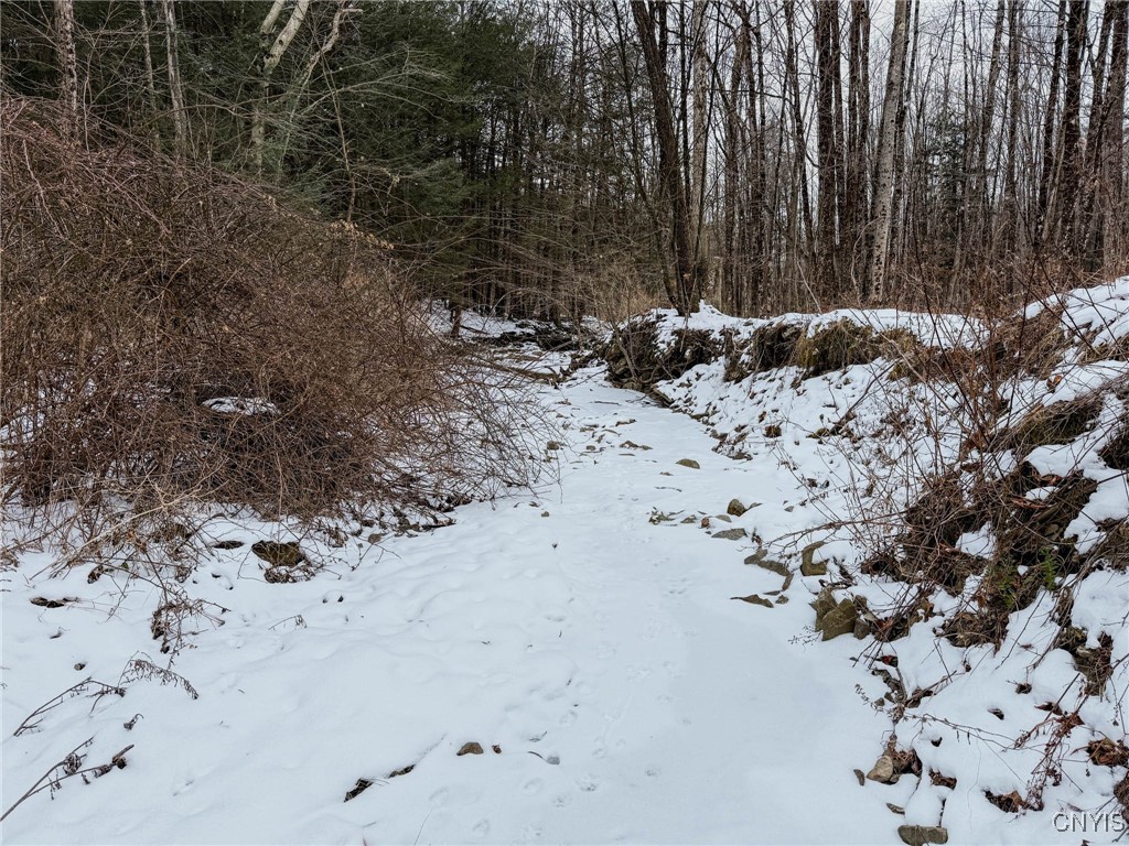 West Road, Corning, New York image 8