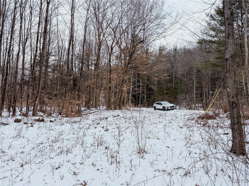 West Road, Corning, New York image 20