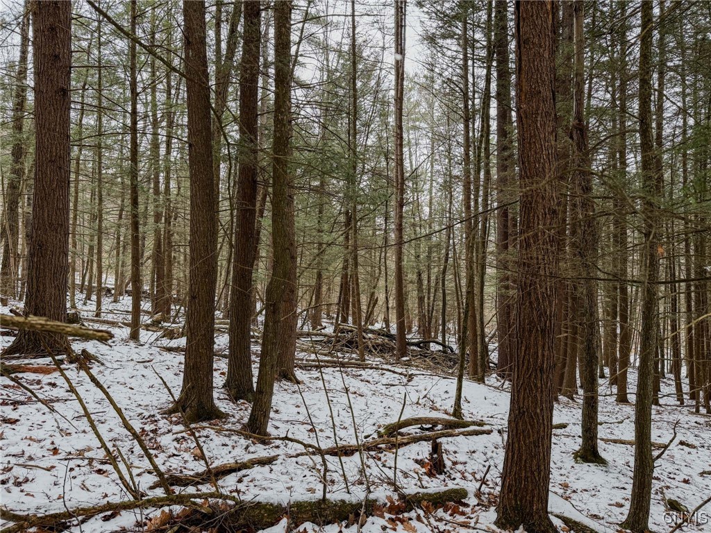 West Road, Corning, New York image 1