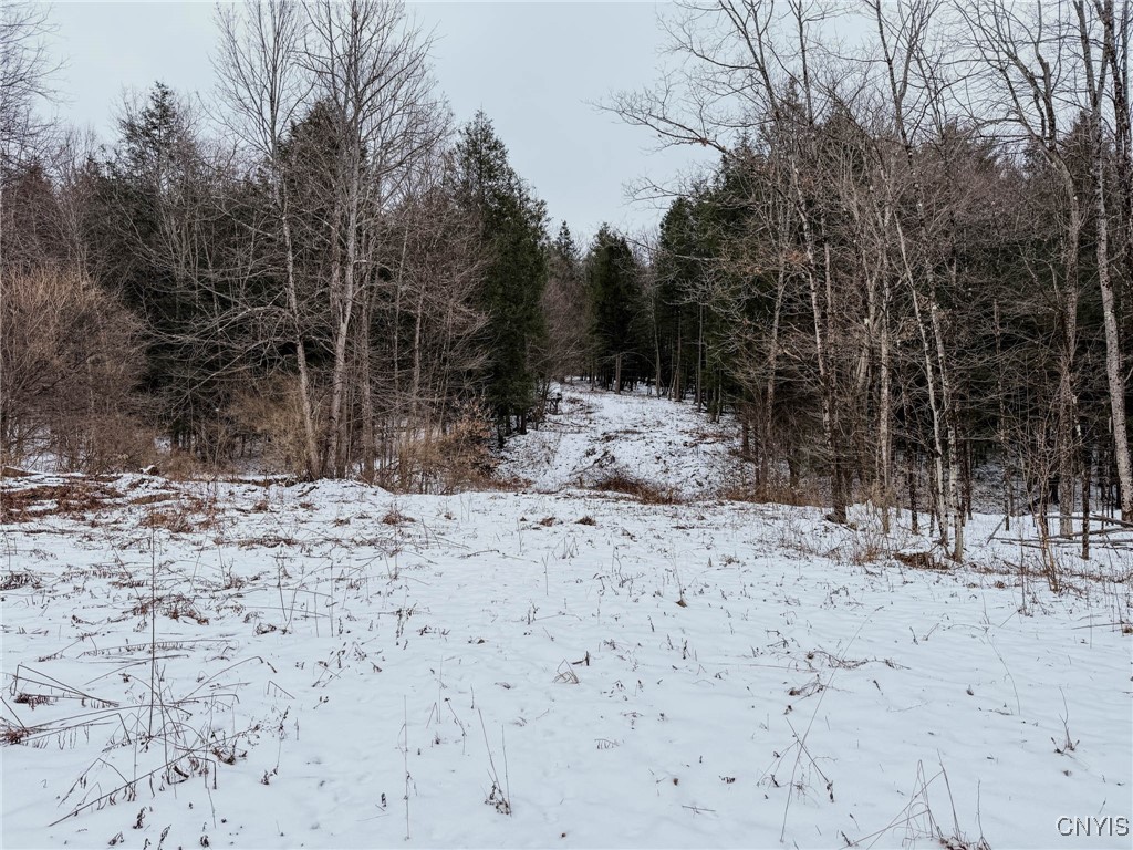 West Road, Corning, New York image 21