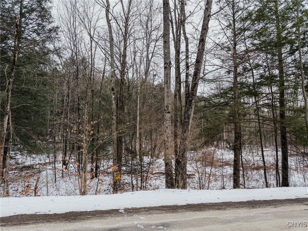 West Road, Corning, New York image 28