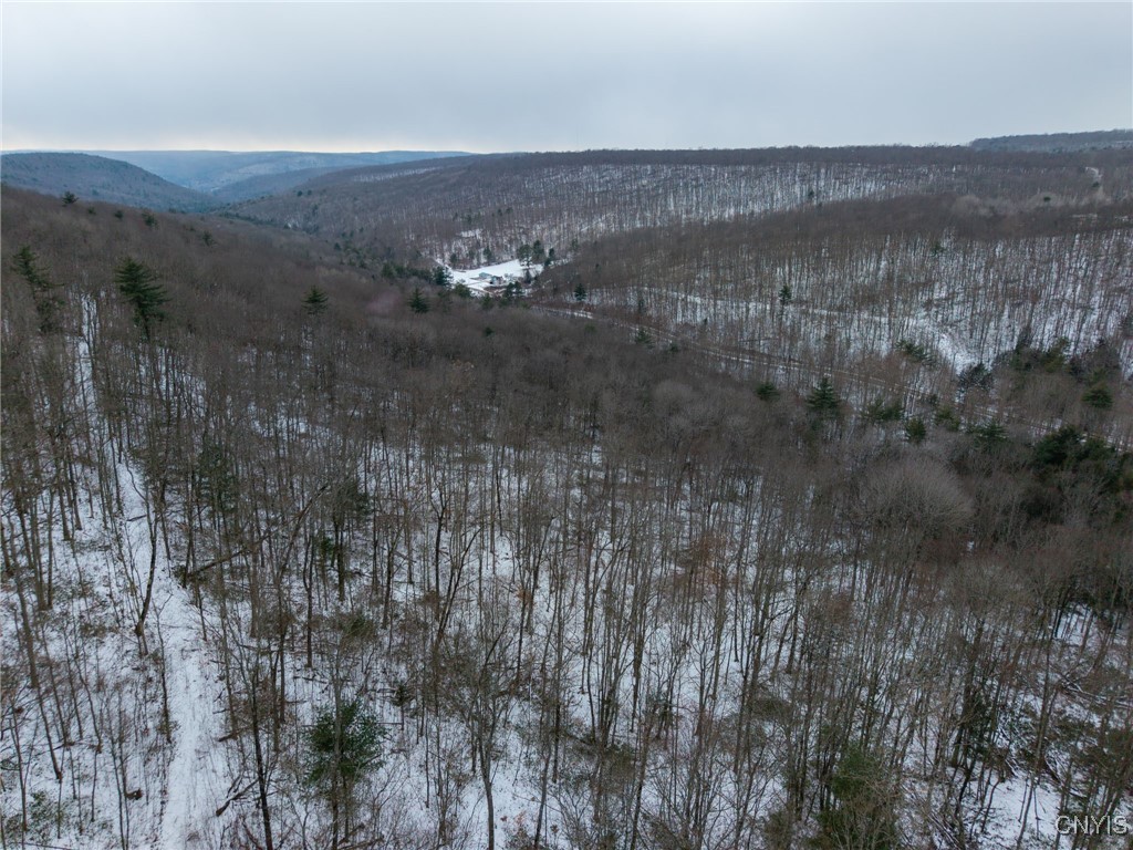 West Road, Corning, New York image 40
