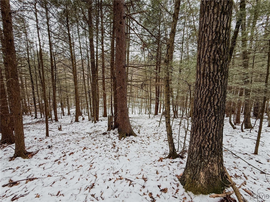 West Road, Corning, New York image 14