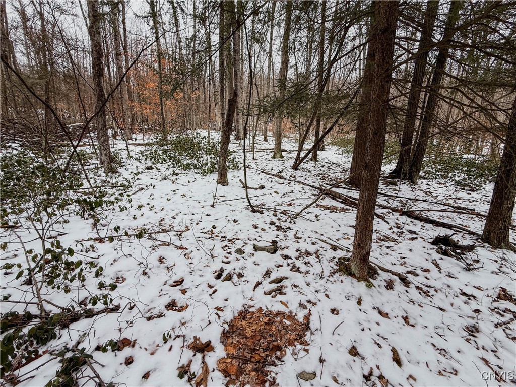 West Road, Corning, New York image 6