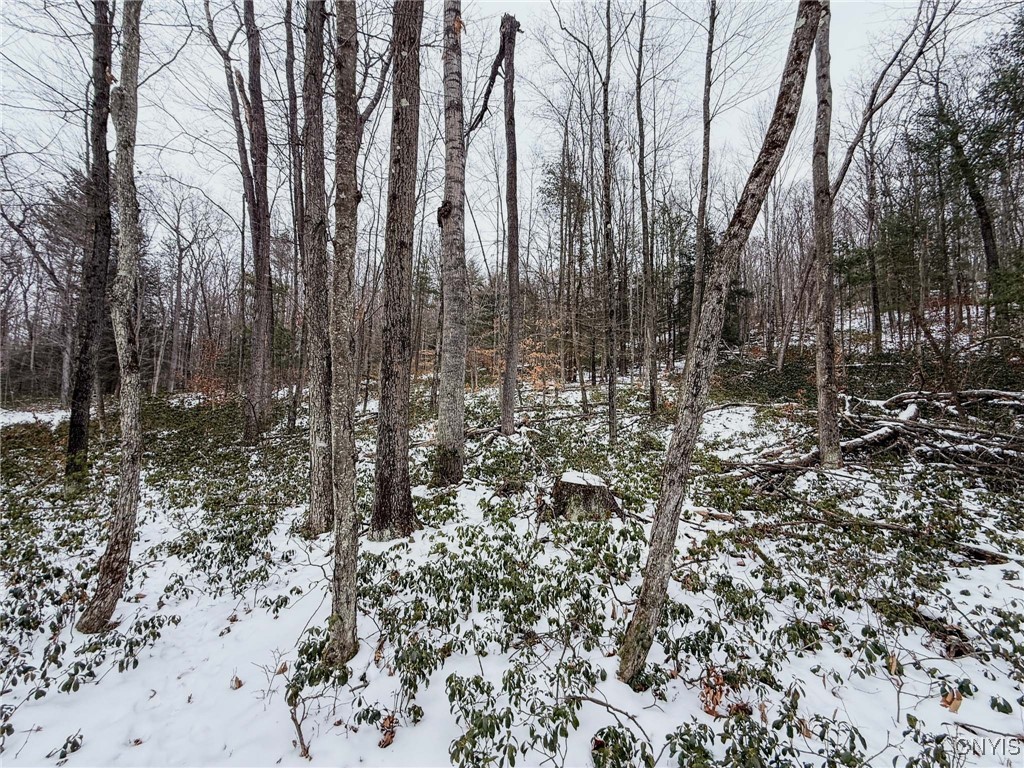 West Road, Corning, New York image 26