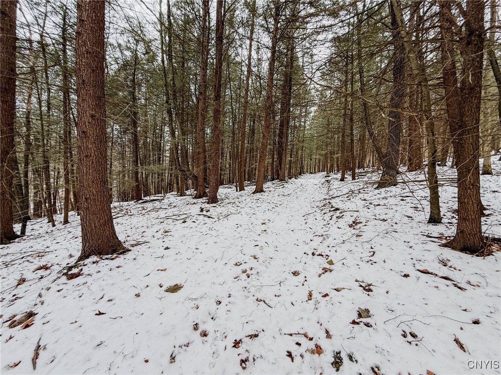 West Road, Corning, New York image 13