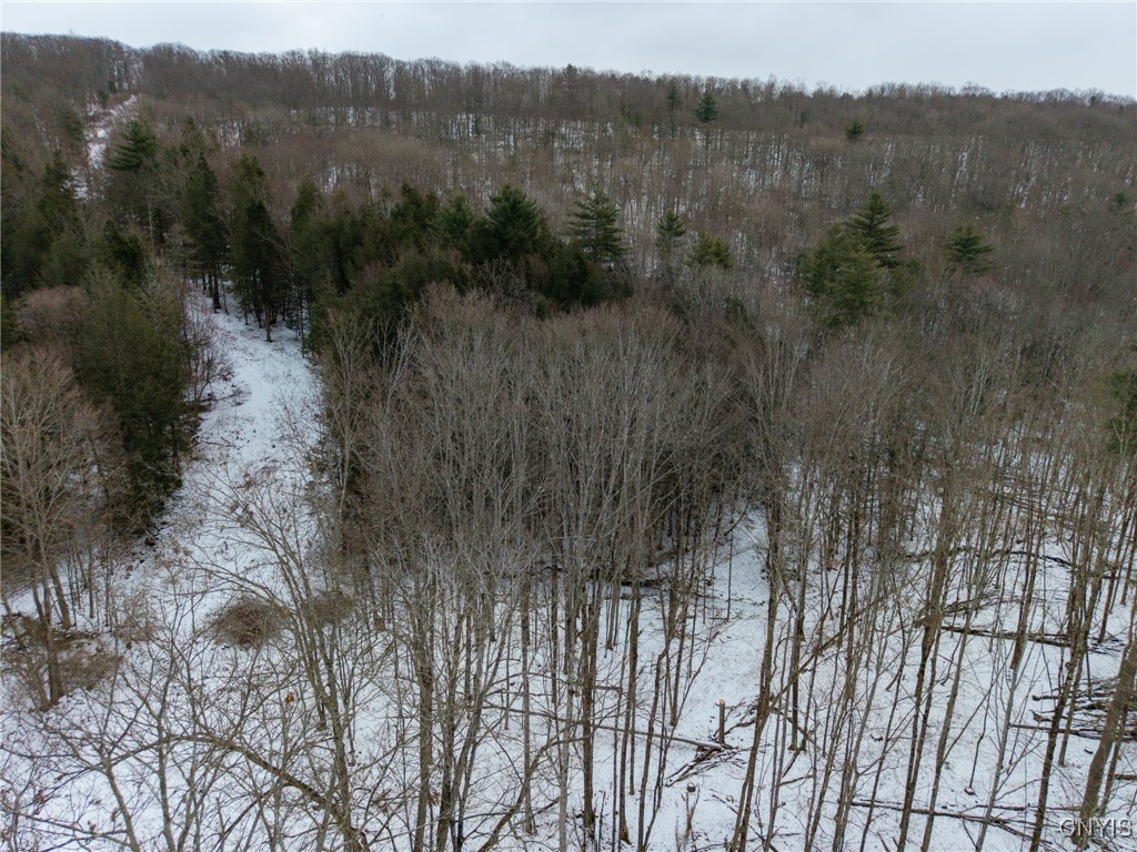 West Road, Corning, New York image 35
