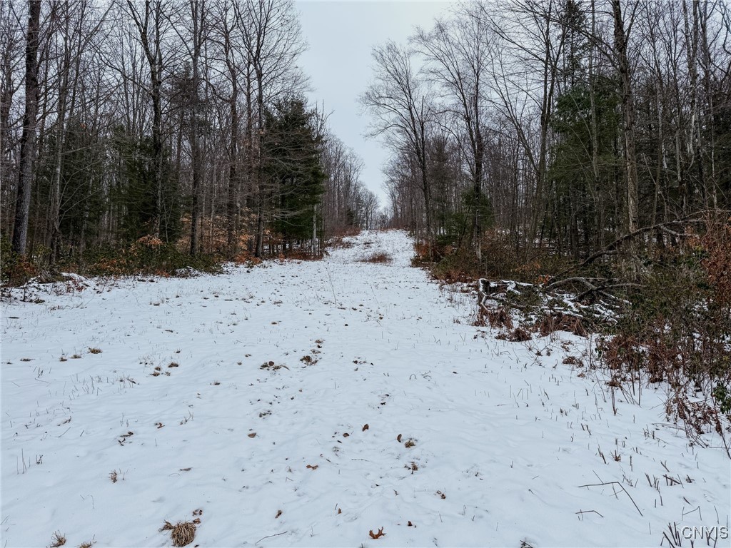 West Road, Corning, New York image 10