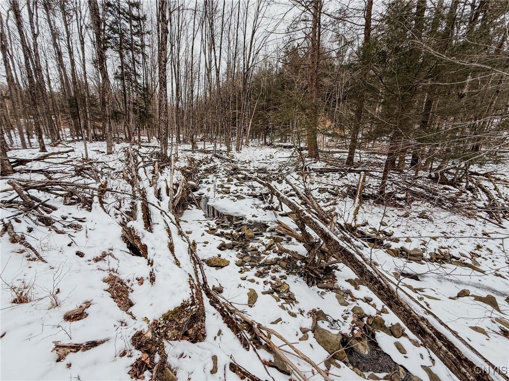 West Road, Corning, New York image 32
