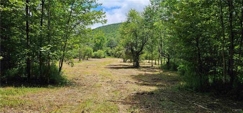 Vacant Land For Sale - 1233 State Route 221<br/> Cortland County, Harford, NY 13803