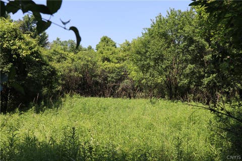 Photo for Lot 1 Mcdonald Road