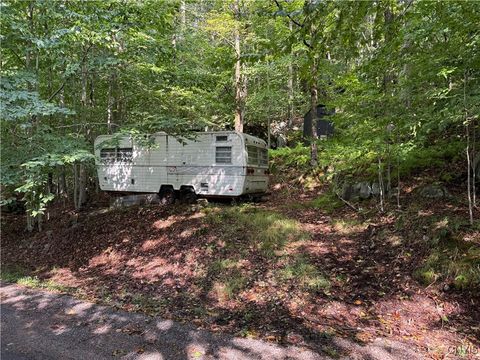 Photo of Mohawk Drive, Webb, NY 13420 (MLS # S1640888)