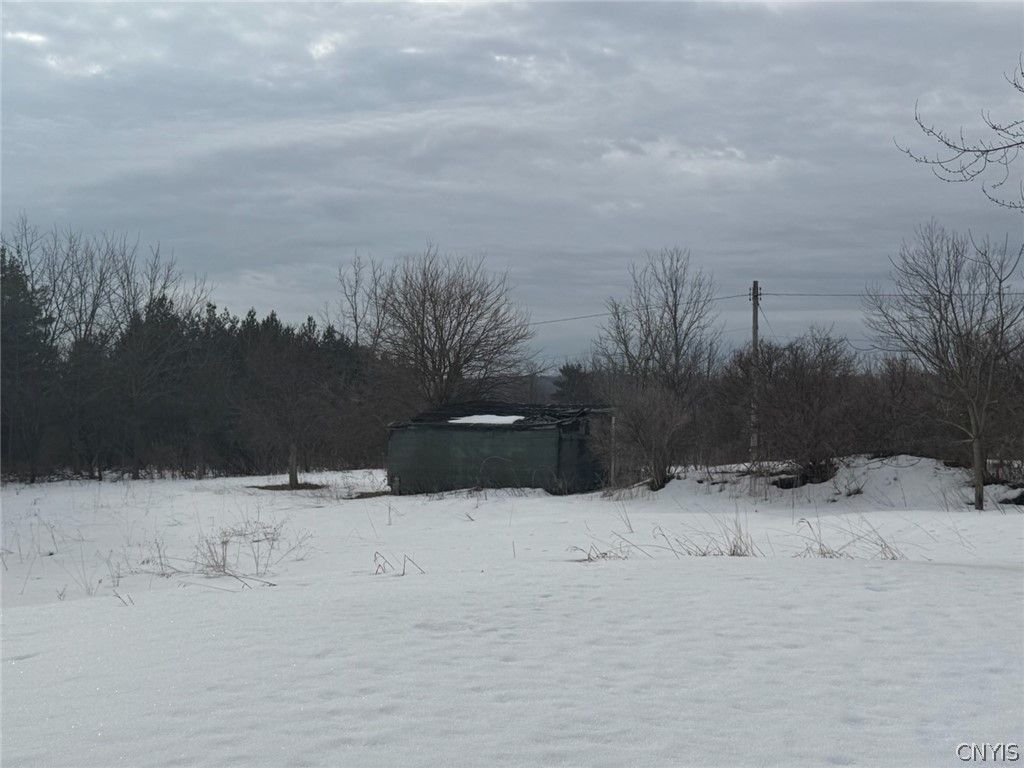 Photo of 5069 Ball Road, Onondaga, NY 13215 (MLS # S1665042)