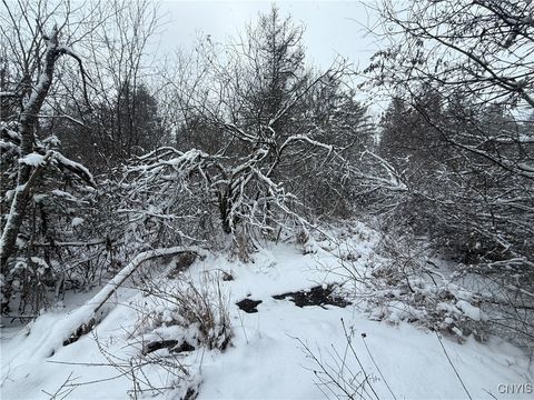 Vacant Land For Sale - Eddy Road<br/> Theresa, NY 13691