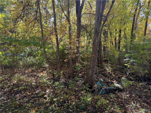 Tiny photo for Lot 3 22nd Ave Avenue, Vienna, NY 13308 (MLS # S1724347)