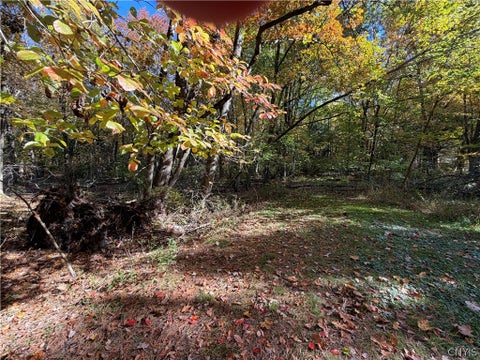 Tiny photo for Lot 3 22nd Ave Avenue, Vienna, NY 13308 (MLS # S1724347)