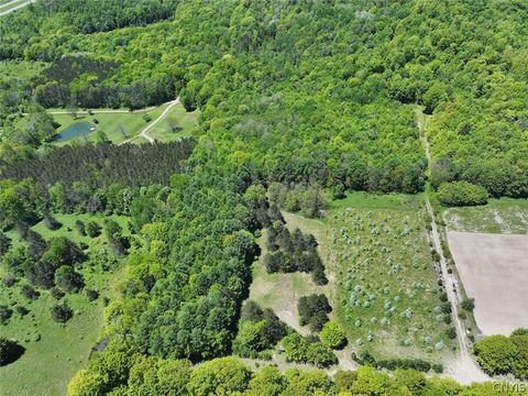 Vacant Land For Sale - N Branch Road<br/> Allegany County, Friendship, NY 14739