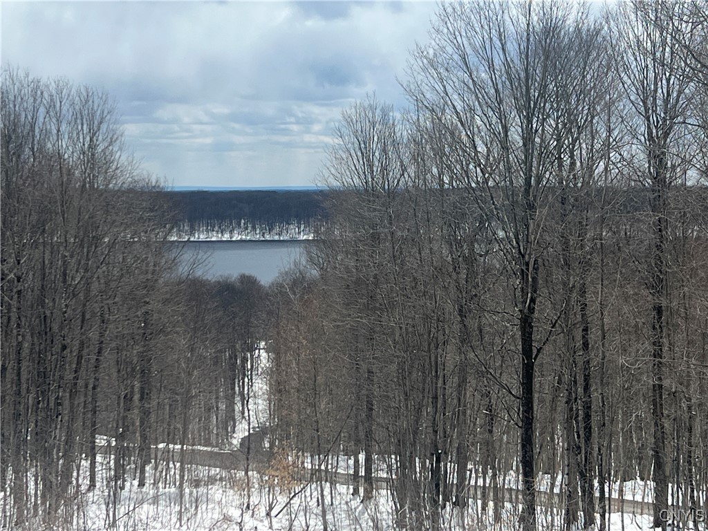 21-39 Coffin Drive, Orwell, New York image 7