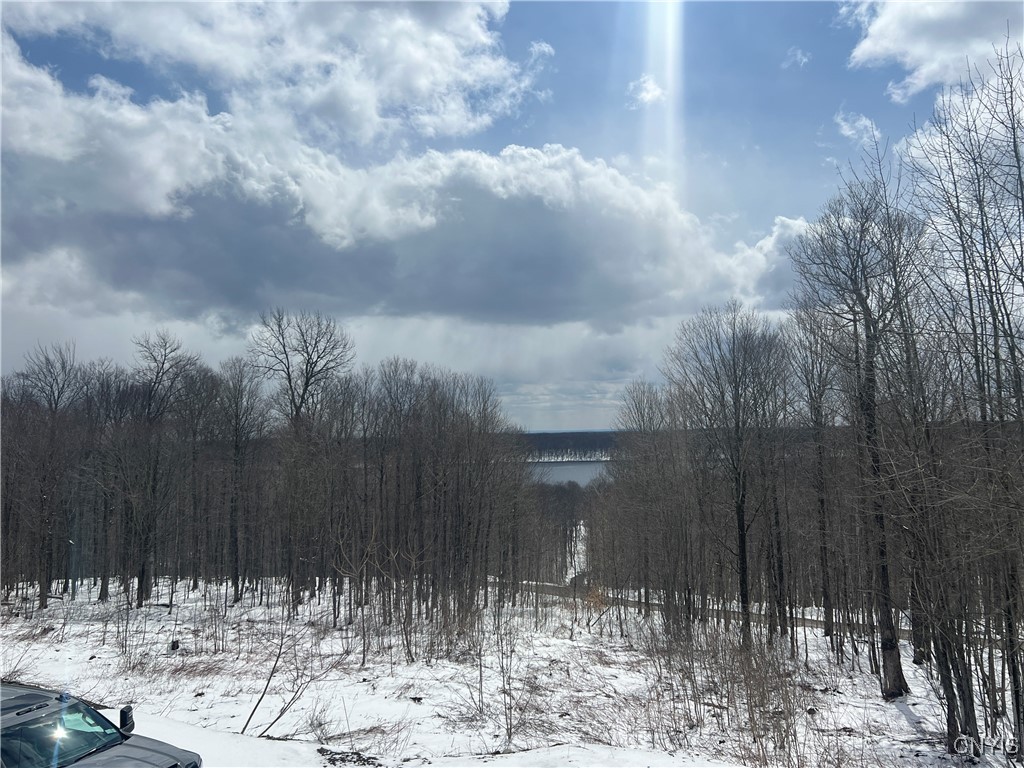 21-39 Coffin Drive, Orwell, New York image 46