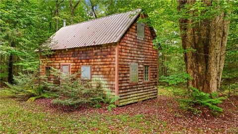Tiny photo for 998 State Route 365, Ohio, NY 13438 (MLS # S1715334)