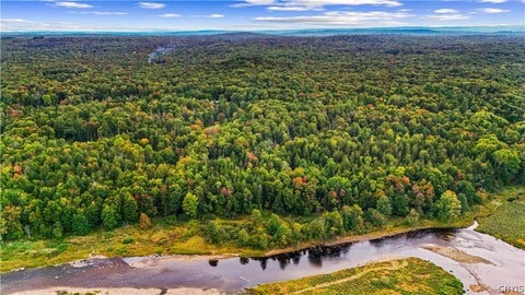 Tiny photo for 998 State Route 365, Ohio, NY 13438 (MLS # S1715334)
