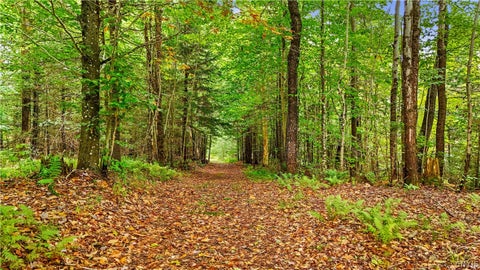 Tiny photo for 998 State Route 365, Ohio, NY 13438 (MLS # S1715334)