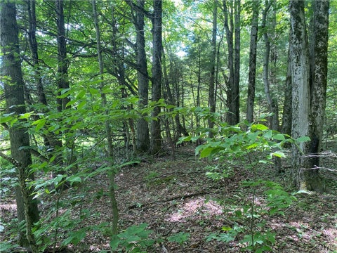 Tiny photo for Holmesville Road, New Berlin, NY 13843 (MLS # S1695700)