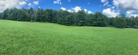 Tiny photo for Holmesville Road, New Berlin, NY 13843 (MLS # S1695700)