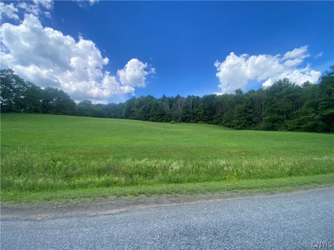 Vacant Land For Sale - Holmesville Road<br/> New Berlin, NY 13843