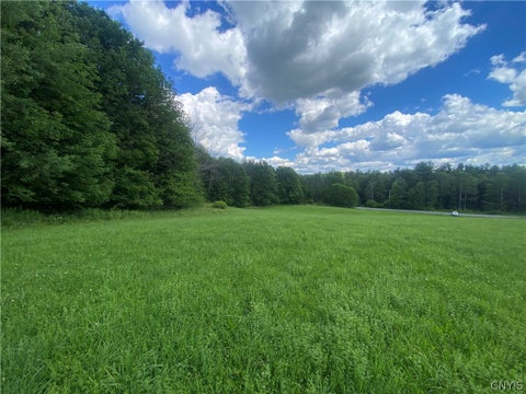 Tiny photo for Holmesville Road, New Berlin, NY 13843 (MLS # S1695700)