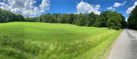 Tiny photo for Holmesville Road, New Berlin, NY 13843 (MLS # S1695700)
