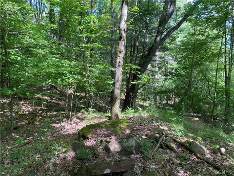 Tiny photo for Holmesville Road, New Berlin, NY 13843 (MLS # S1695700)