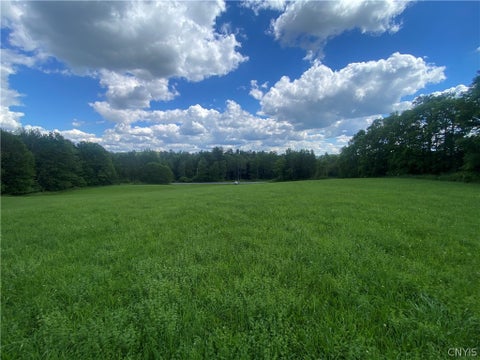 Tiny photo for Holmesville Road, New Berlin, NY 13843 (MLS # S1695700)