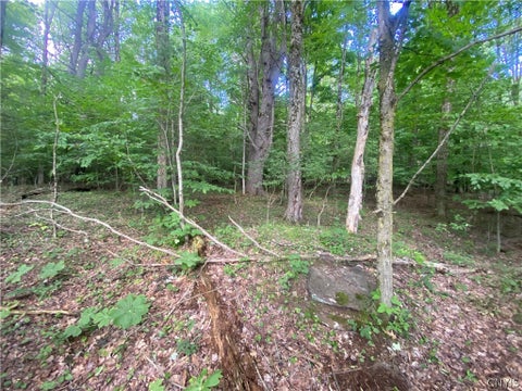 Tiny photo for Holmesville Road, New Berlin, NY 13843 (MLS # S1695700)