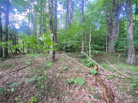 Tiny photo for Holmesville Road, New Berlin, NY 13843 (MLS # S1695700)