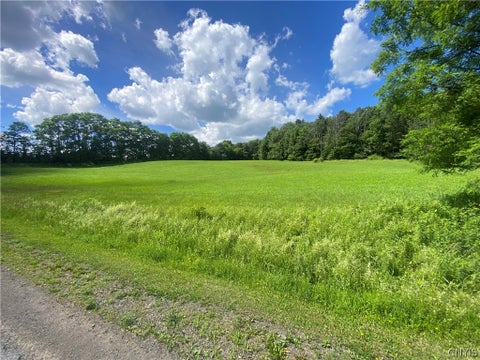 Tiny photo for Holmesville Road, New Berlin, NY 13843 (MLS # S1695700)
