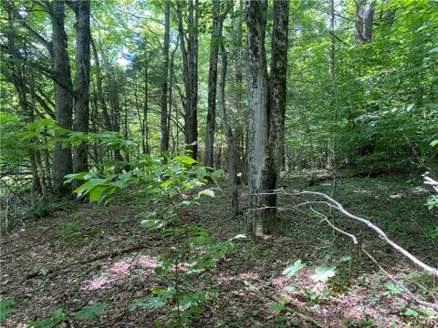 Tiny photo for Holmesville Road, New Berlin, NY 13843 (MLS # S1695700)