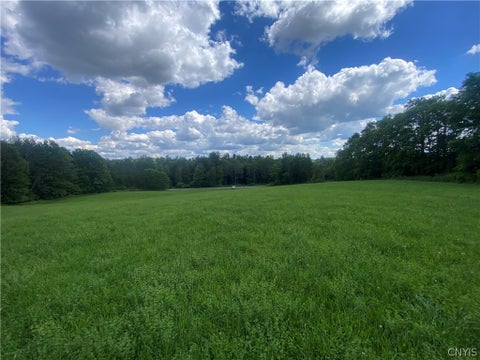 Tiny photo for Holmesville Road, New Berlin, NY 13843 (MLS # S1695700)