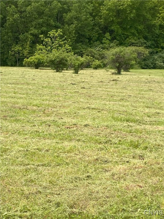 Mc Gibbon Road, Sterling, New York image 16
